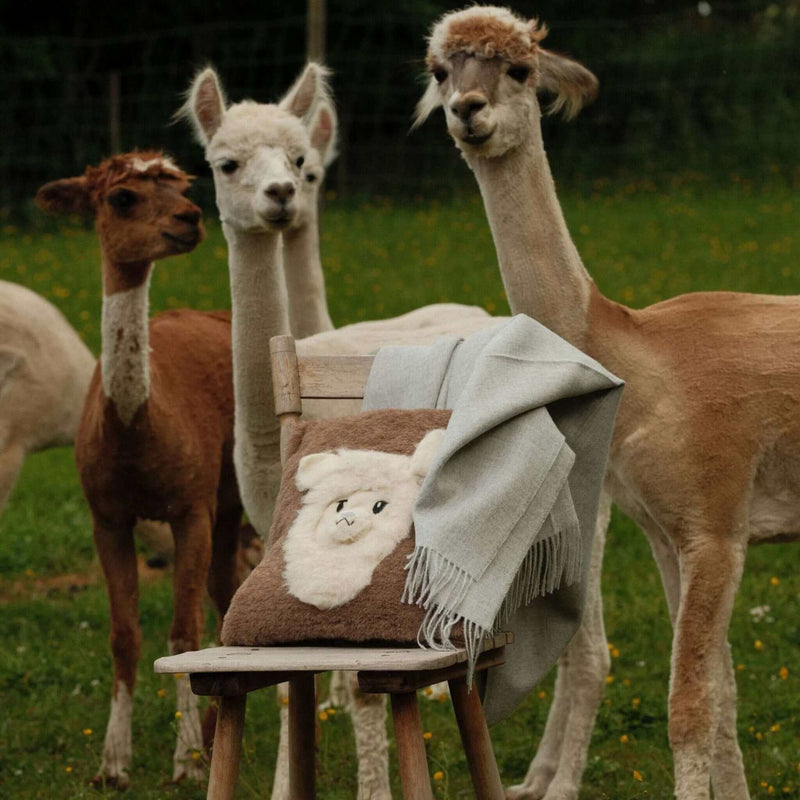 Alpaka oder Merinowolle – Welche Naturfaser passt besser zu dir? - tre_alpacas