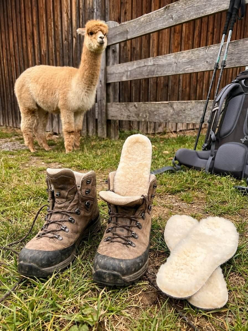 Alpaka-Einlegesohlen für Wanderschuhe auf Tour