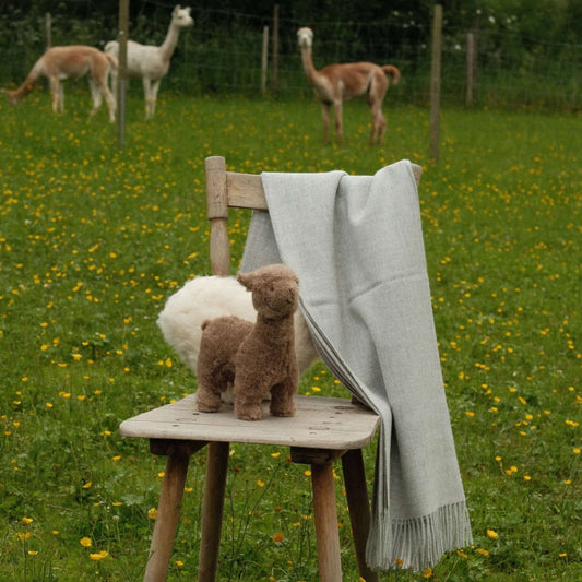 Alpaka Wolle displayed with a plush alpaca toy and a gray scarf on a wooden chair in a green field.