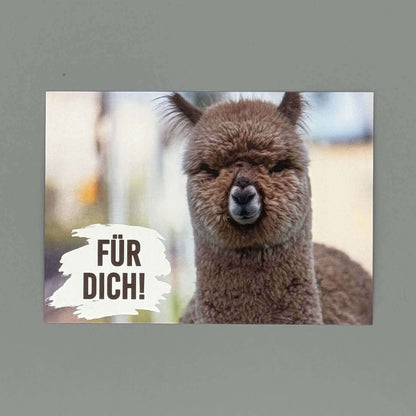Alpaka Postkarten Set mit lächelndem Alpaka und dem Text "FÜR DICH!" im Vordergrund.