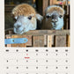 Kostenloser Alpaka Kalender 2025 mit zwei süßen Alpakas im Januar, die neugierig in die Kamera schauen.