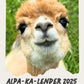 Kostenloser Alpaka Kalender 2025 mit süßen Alpakafotos und zauberhaften Momenten.