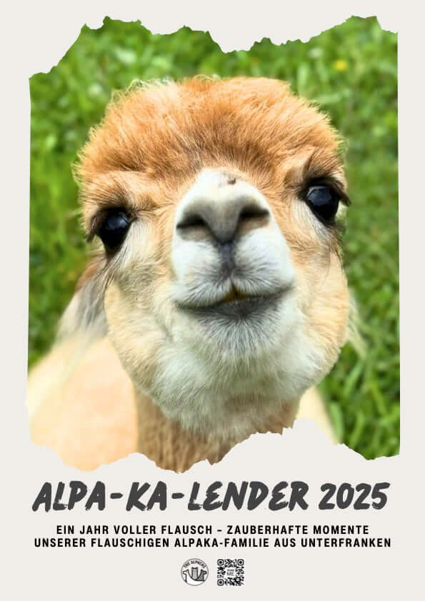 Kostenloser Alpaka Kalender 2025 mit süßen Alpakafotos und zauberhaften Momenten.