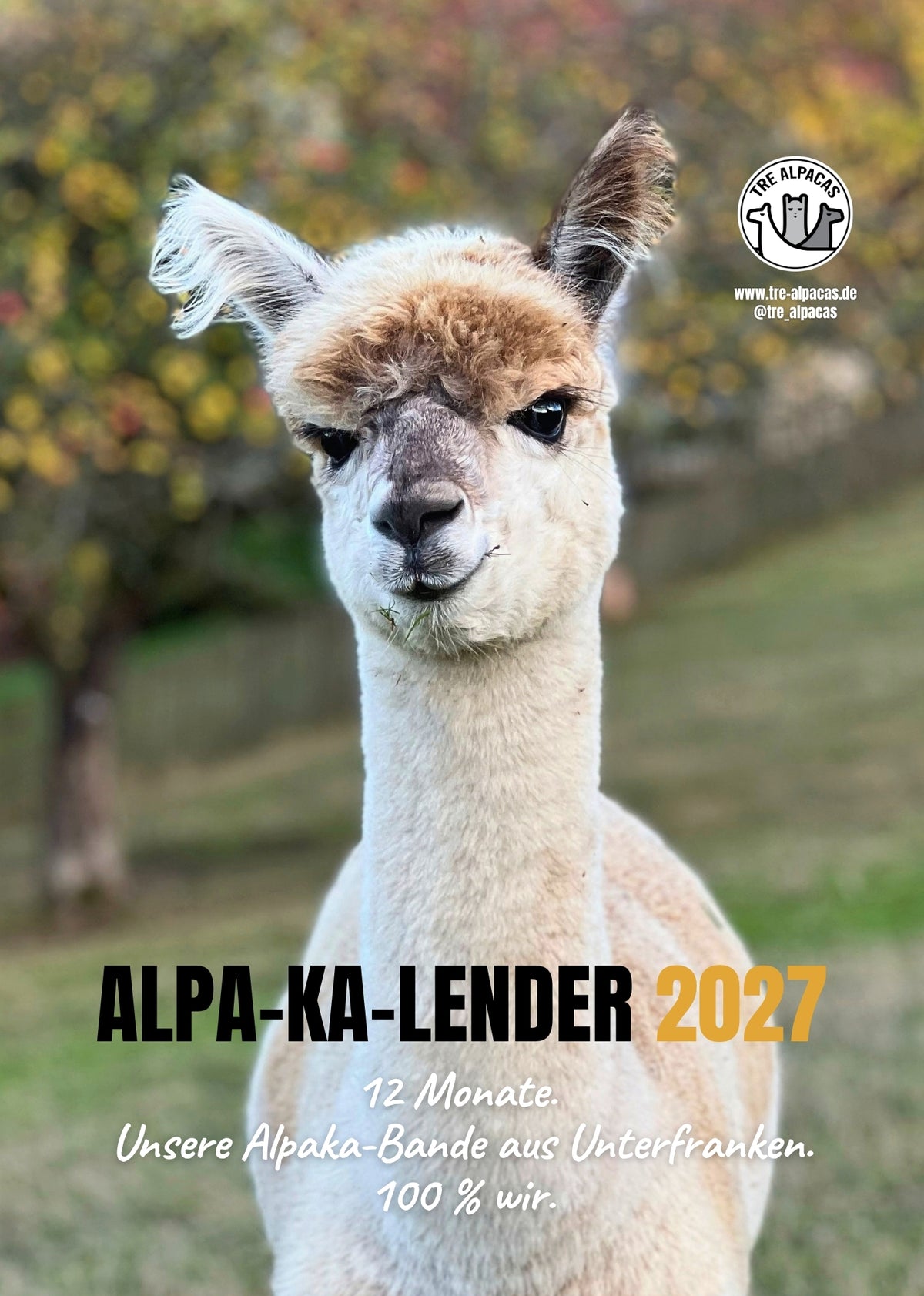 Alpaka Kalender 2027 – Monatskalender mit unserer Herde aus Unterfranken