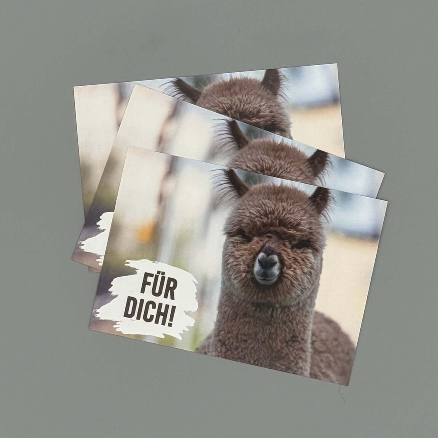 Grußkarte Alpaka Baby Motiv im Detail – liebevolle Karte "Für Dich" für Geburtstag, Dankeschön & jeden Anlass