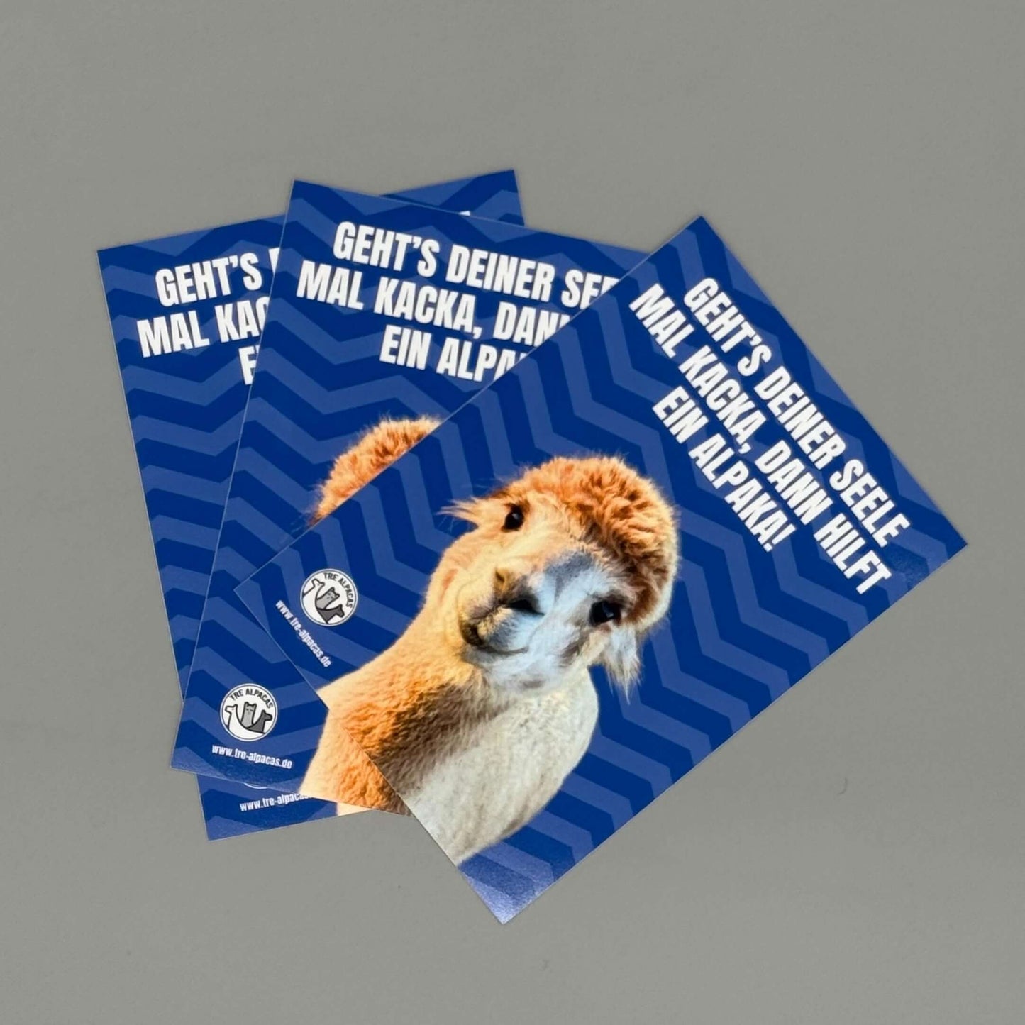 Postkarte mit Alpaka Motiv ‚Geht's deiner Seele mal kacka, hilft ein Alpaka‘ für motivpostkarten.