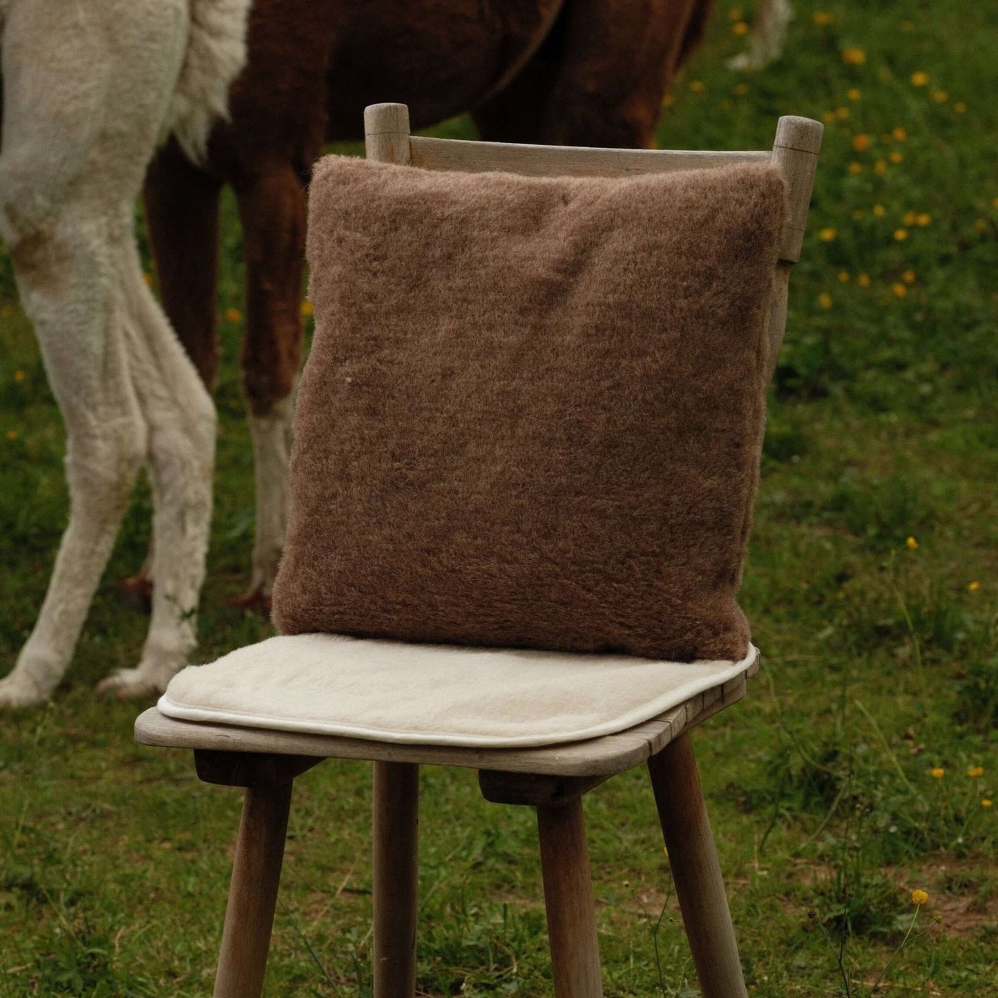Alpaka Sitzkissen 40x40 auf einem Holzstuhl, weiches und elegantes Kissen aus Alpakaflor in Braun.