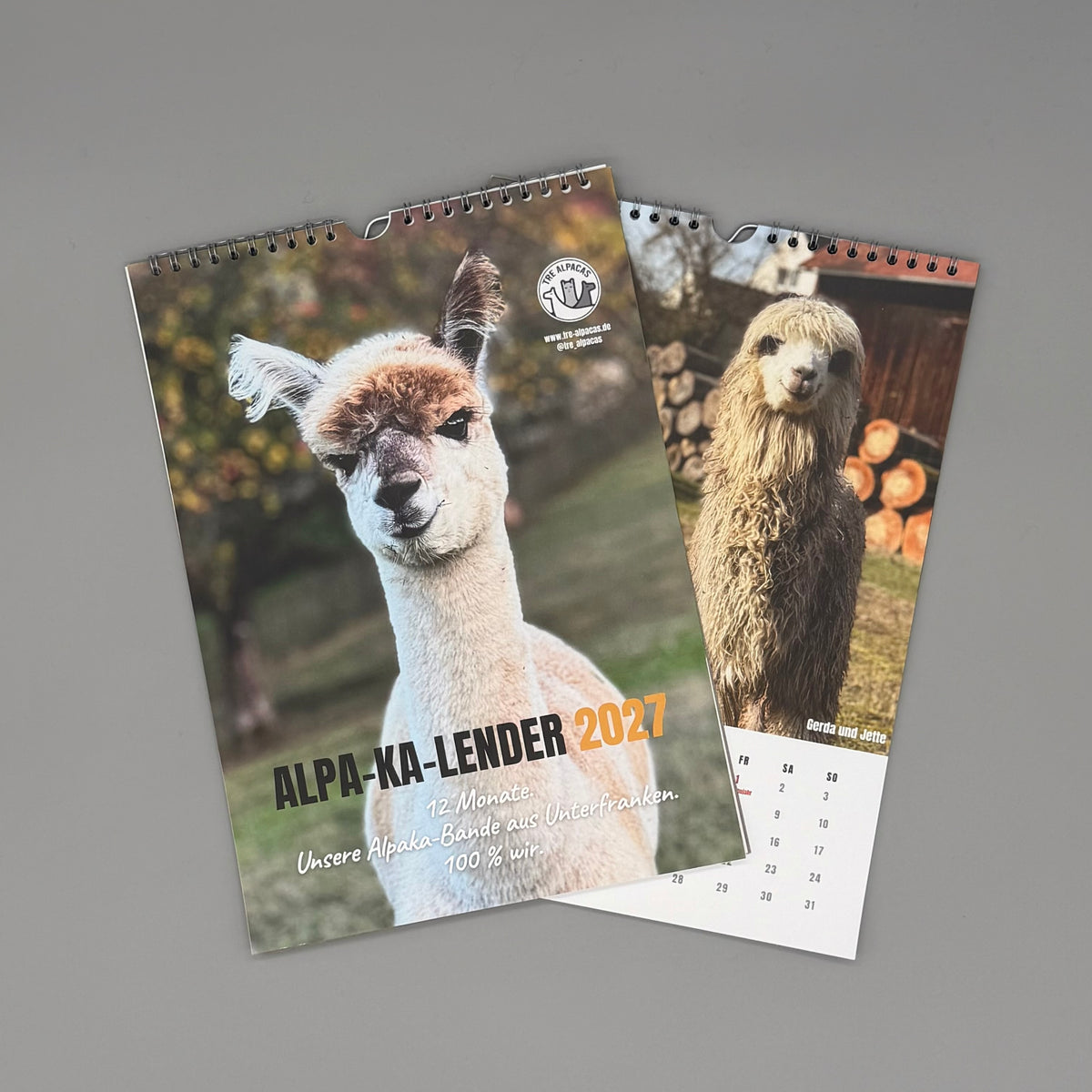Alpaka Kalender 2027 – Monatskalender mit unserer Herde aus Unterfranken