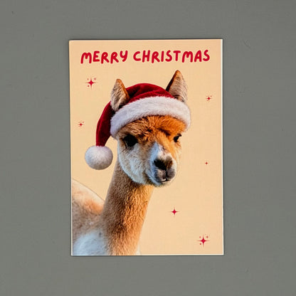 Alpaka Weihnachtskarte „Merry Christmas“ mit Caramella – DIN A6