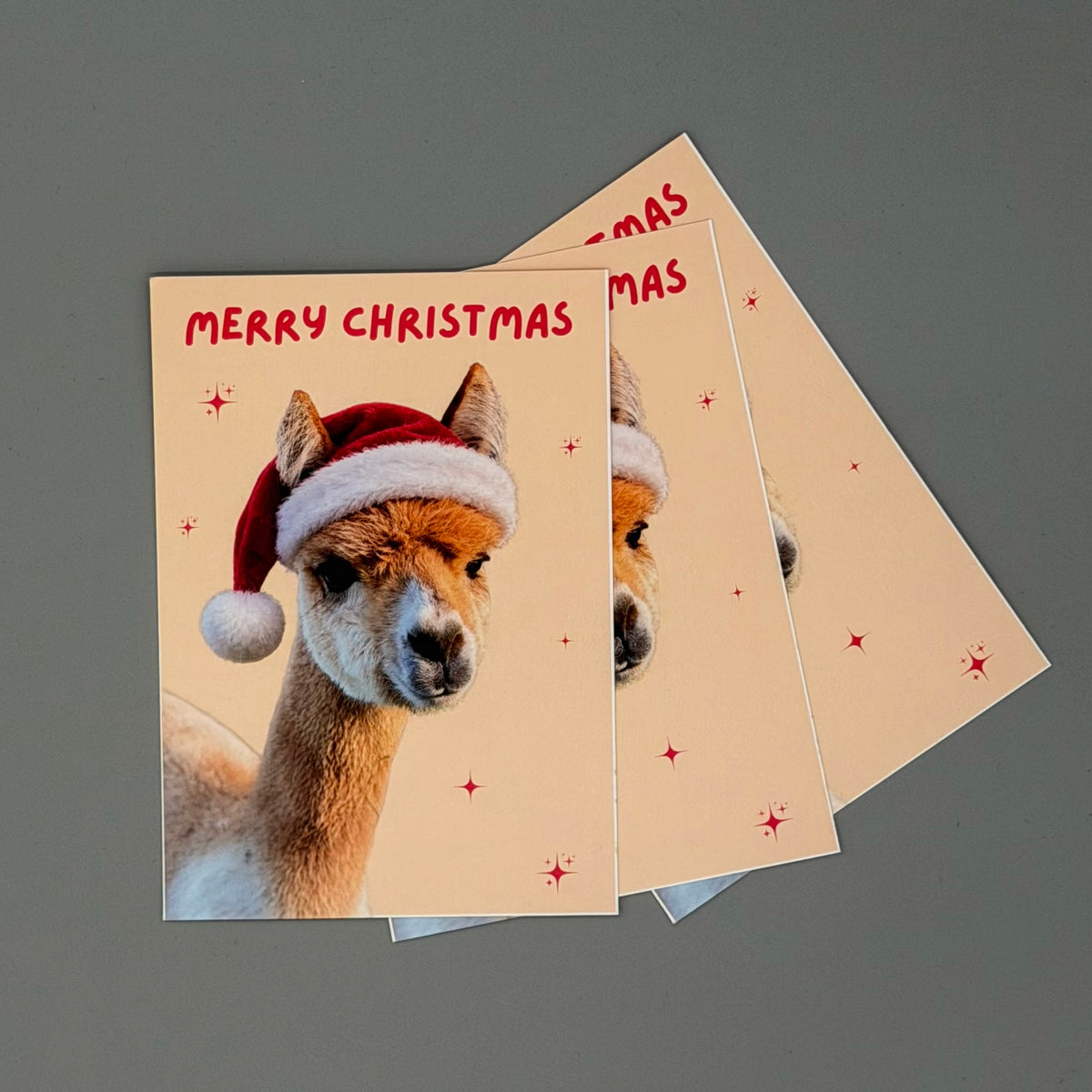 Alpaka Weihnachtskarte „Merry Christmas“ mit Caramella – DIN A6
